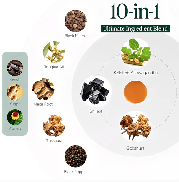 Reignite Your Drive. Dominate in Testosterone Mode.